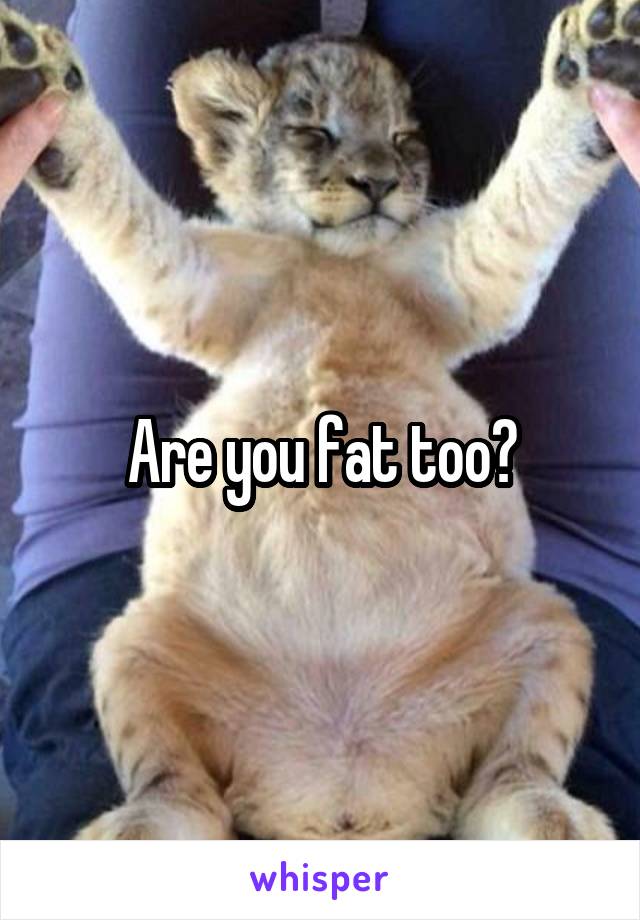 Are you fat too?