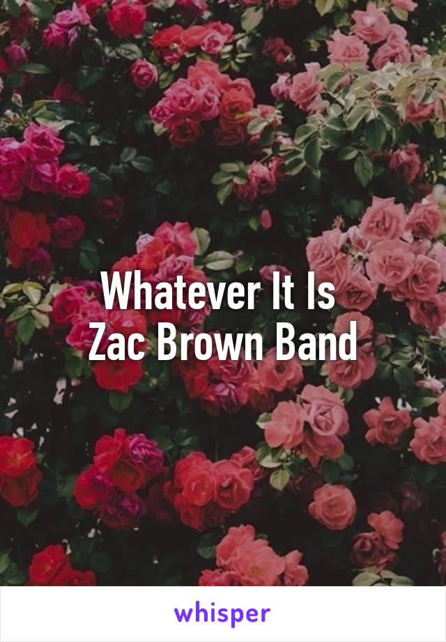 Whatever It Is 
Zac Brown Band