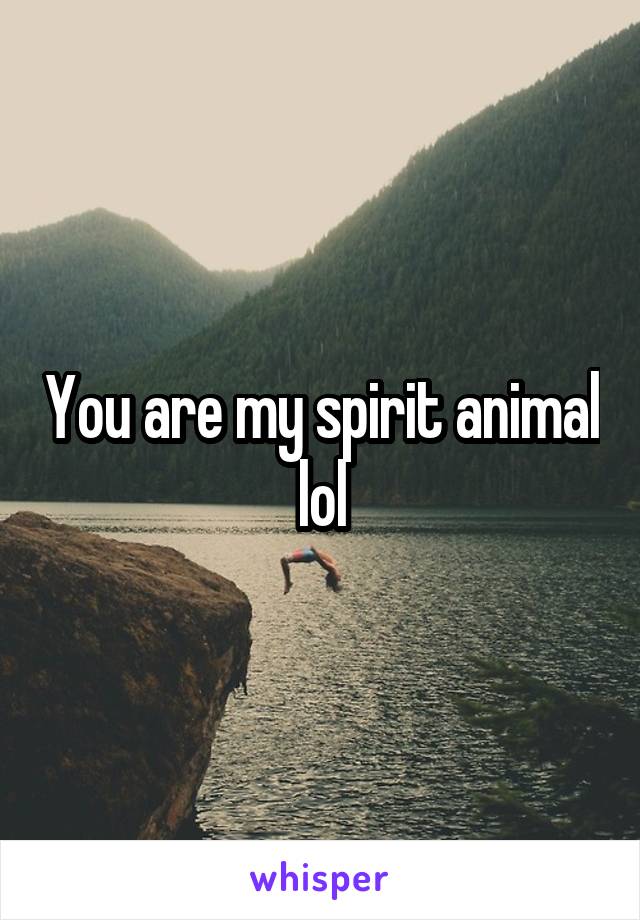 You are my spirit animal lol