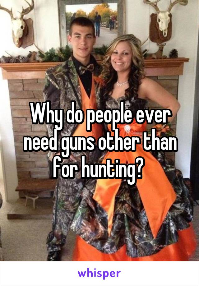 Why do people ever need guns other than for hunting? 