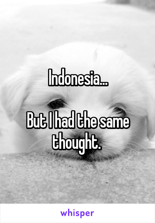 Indonesia...

But I had the same thought. 