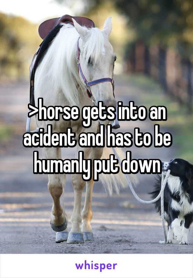 >horse gets into an acident and has to be humanly put down