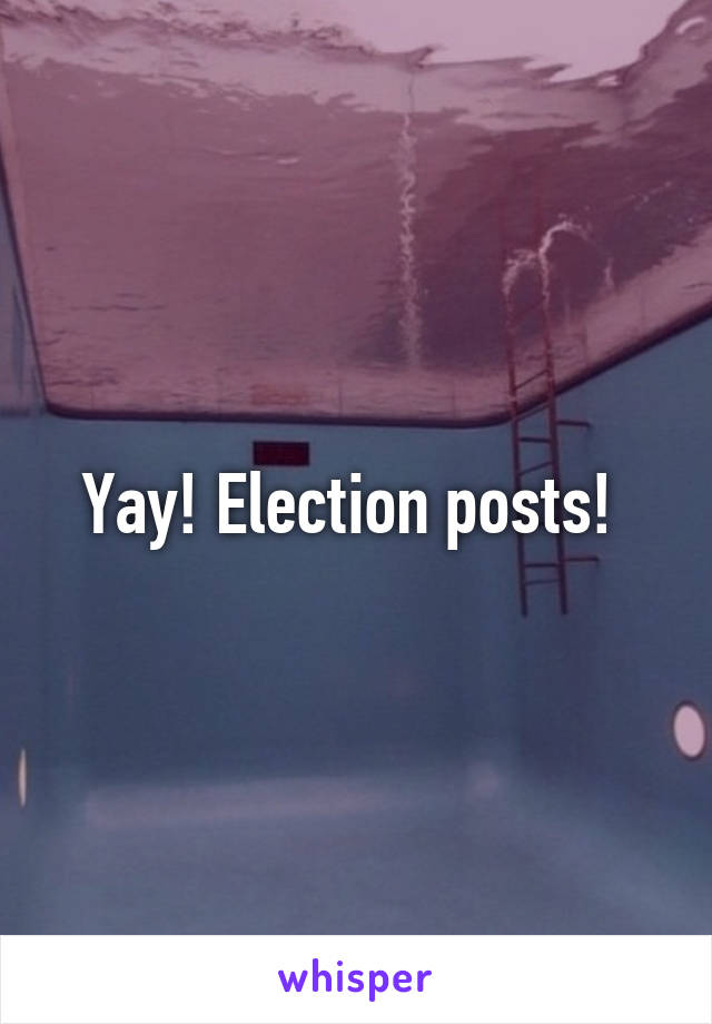 Yay! Election posts! 