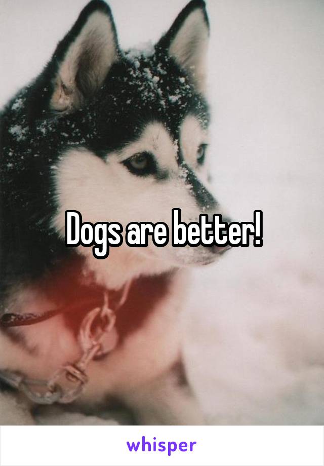 Dogs are better!