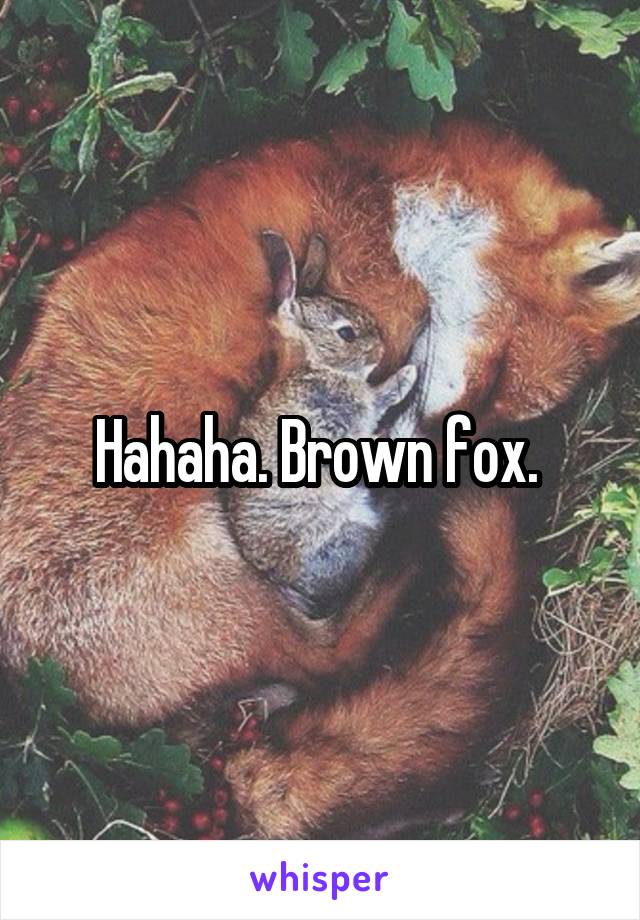 Hahaha. Brown fox. 