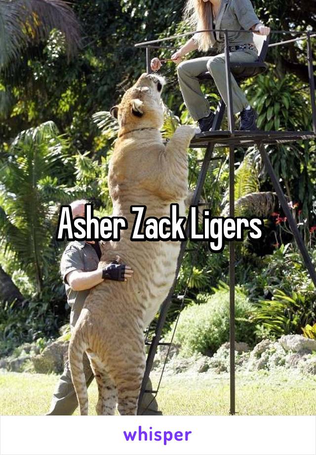 Asher Zack Ligers