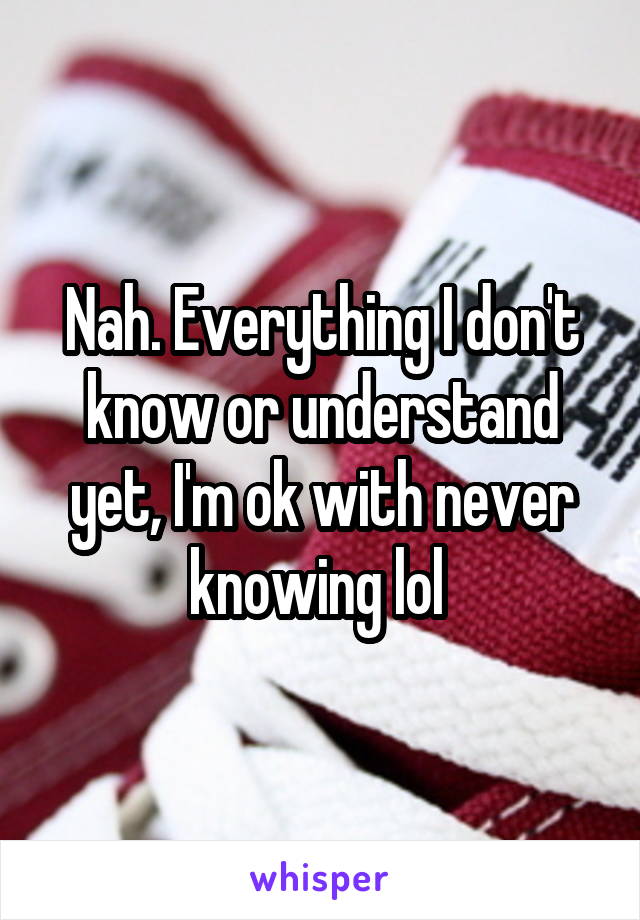 Nah. Everything I don't know or understand yet, I'm ok with never knowing lol 