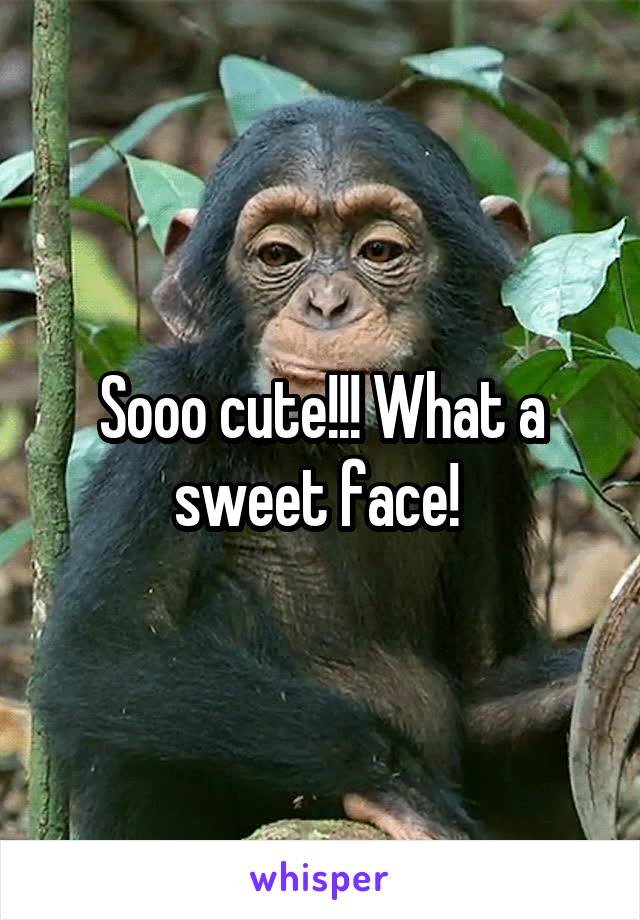 Sooo cute!!! What a sweet face! 
