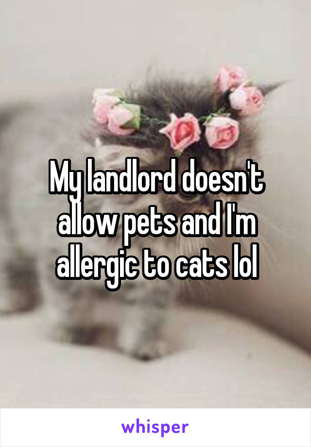 My landlord doesn't allow pets and I'm allergic to cats lol