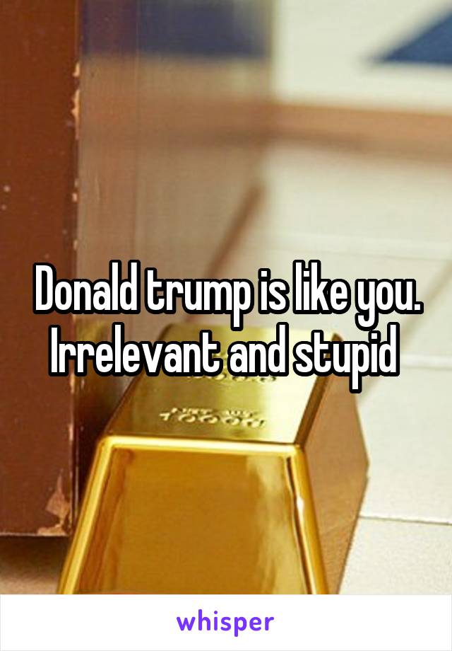 Donald trump is like you. Irrelevant and stupid 