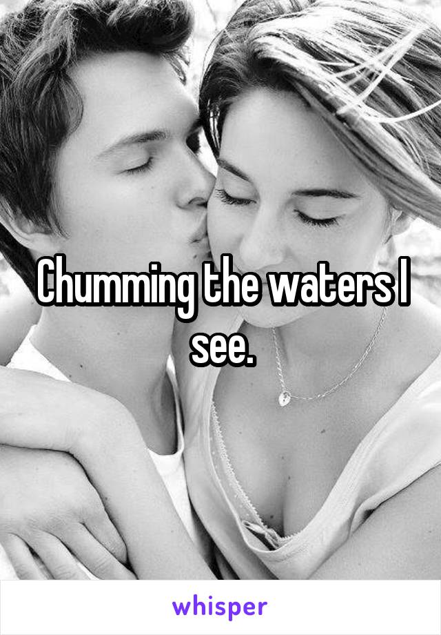 Chumming the waters I see.