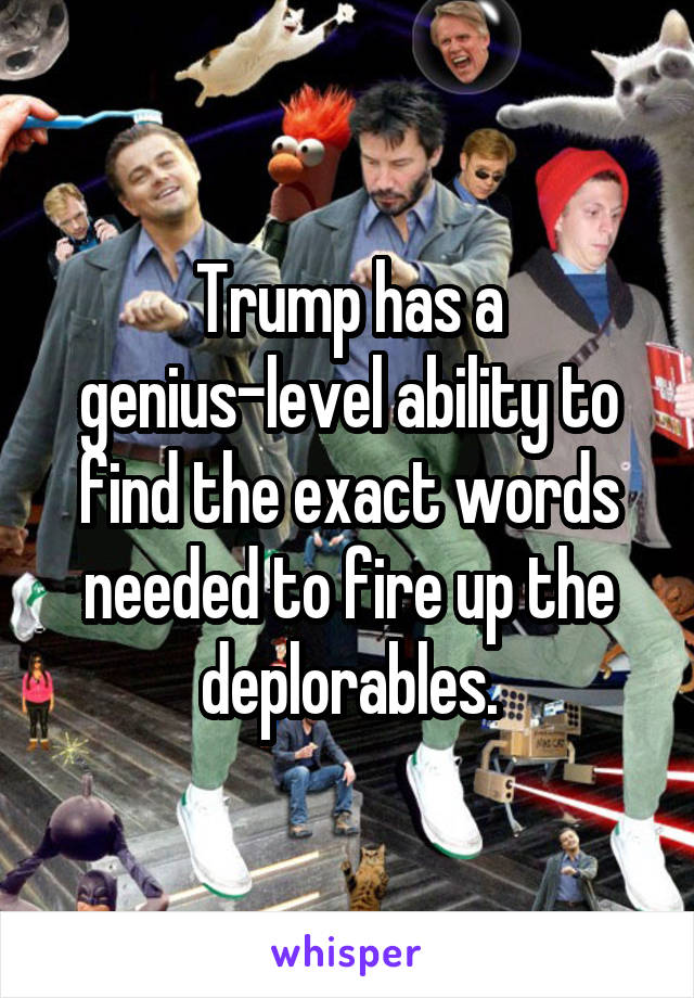 Trump has a genius-level ability to find the exact words needed to fire up the deplorables.