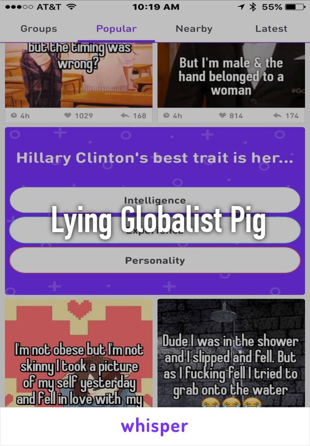  Lying Globalist Pig