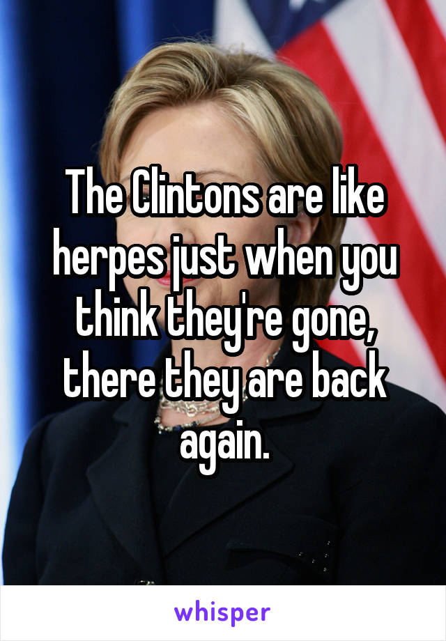 The Clintons are like herpes just when you think they're gone, there they are back again.