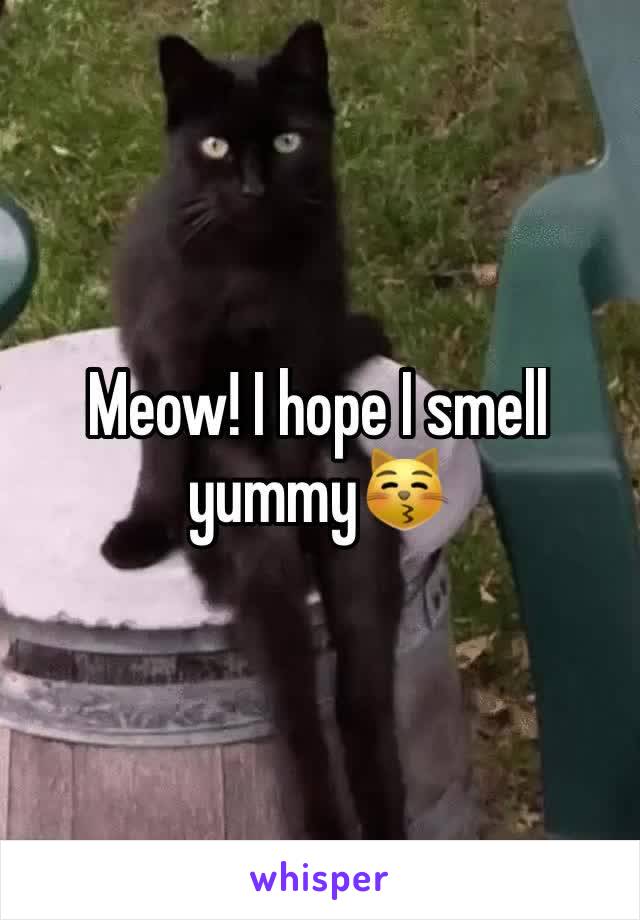 Meow! I hope I smell yummy😽