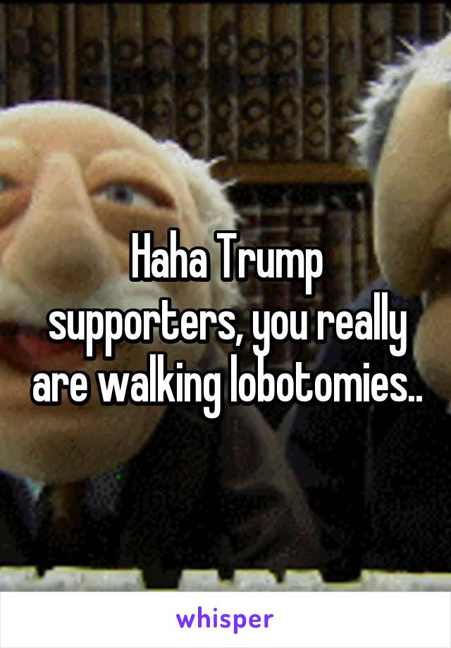 Haha Trump supporters, you really are walking lobotomies..