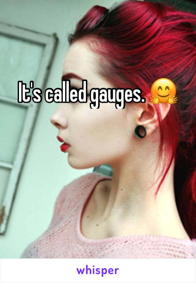 It's called gauges. 🤗