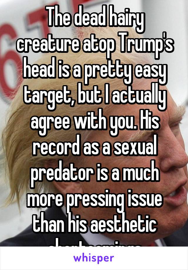 The dead hairy creature atop Trump's head is a pretty easy target, but I actually agree with you. His record as a sexual predator is a much more pressing issue than his aesthetic shortcomings