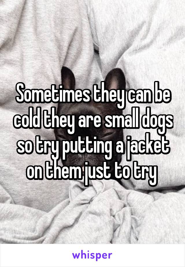 Sometimes they can be cold they are small dogs so try putting a jacket on them just to try 