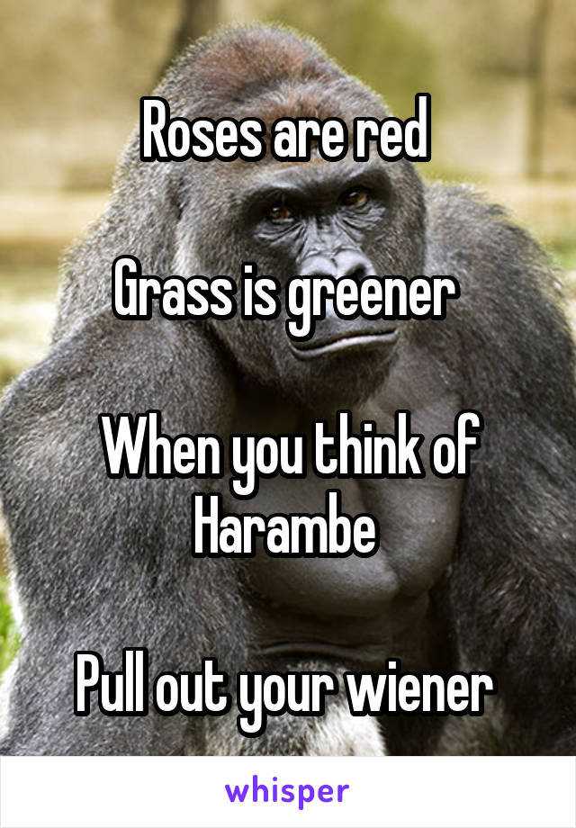 Roses are red 

Grass is greener 

When you think of Harambe 

Pull out your wiener 