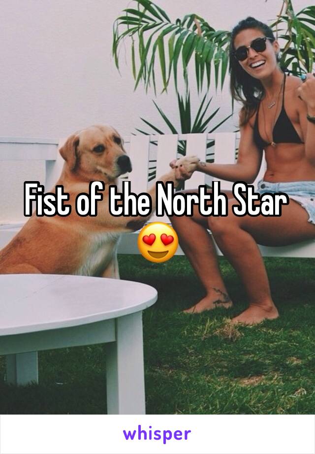 Fist of the North Star 😍