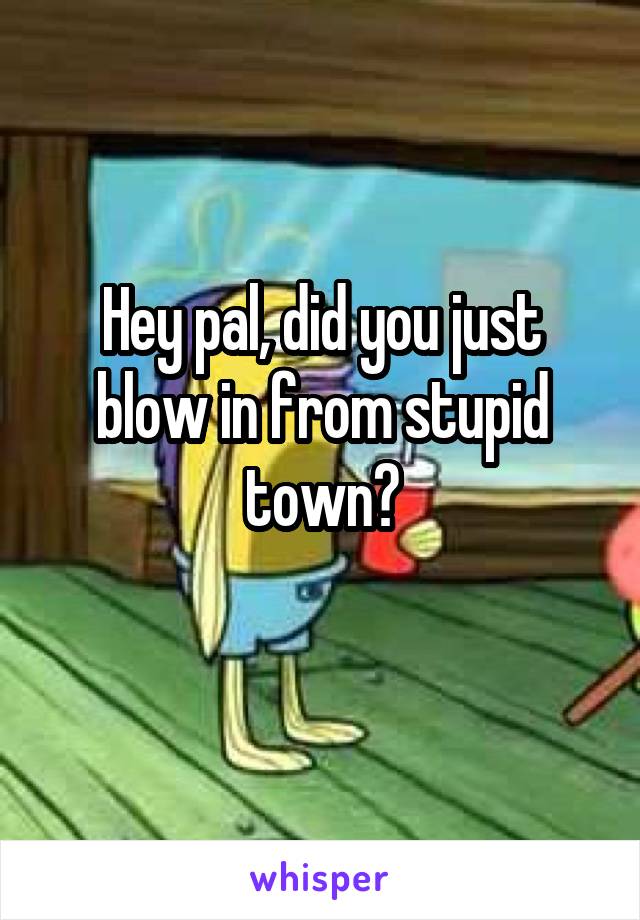 Hey pal, did you just blow in from stupid town?
