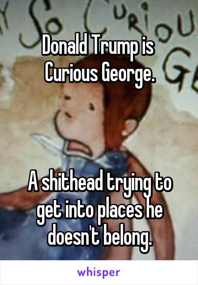 Donald Trump is 
Curious George.



A shithead trying to get into places he doesn't belong.