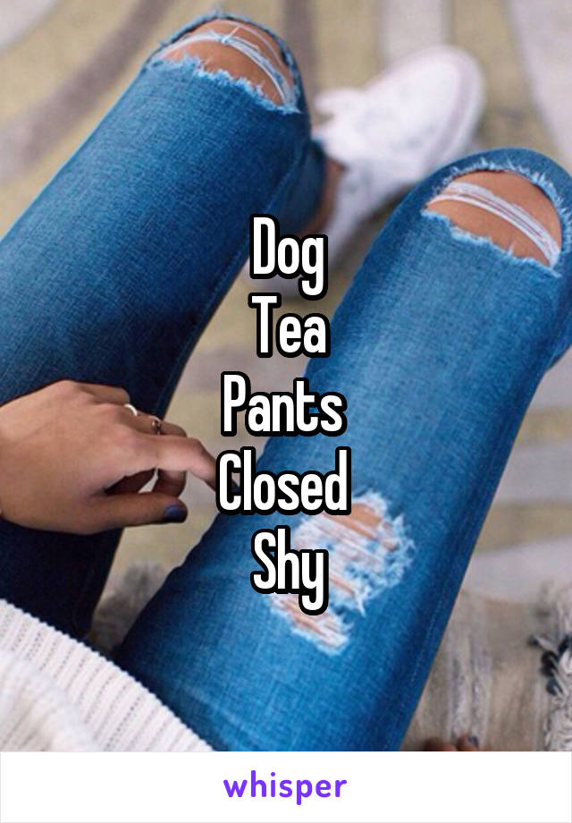 Dog
 Tea 
Pants 
Closed 
Shy
