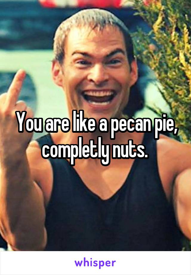 You are like a pecan pie, completly nuts. 