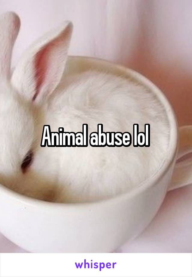 Animal abuse lol 
