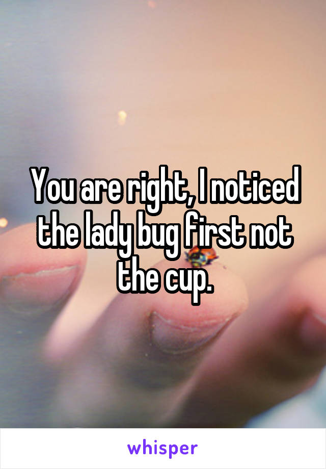 You are right, I noticed the lady bug first not the cup.