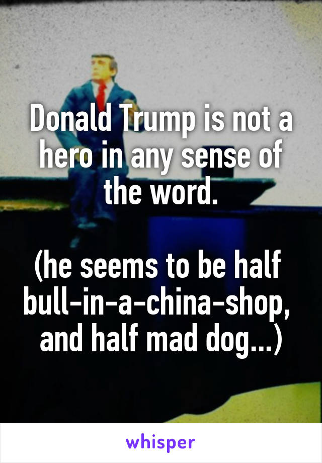 Donald Trump is not a hero in any sense of the word.

(he seems to be half 
bull-in-a-china-shop, 
and half mad dog...)