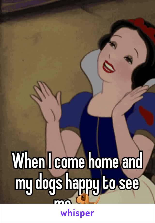 When I come home and my dogs happy to see me 🐕