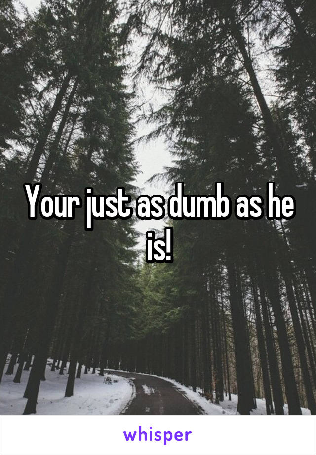 Your just as dumb as he is!