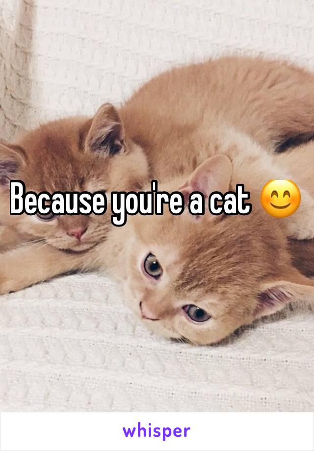 Because you're a cat 😊