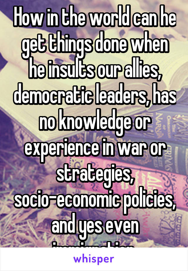 How in the world can he get things done when he insults our allies, democratic leaders, has no knowledge or experience in war or strategies, socio-economic policies, and yes even immigration.