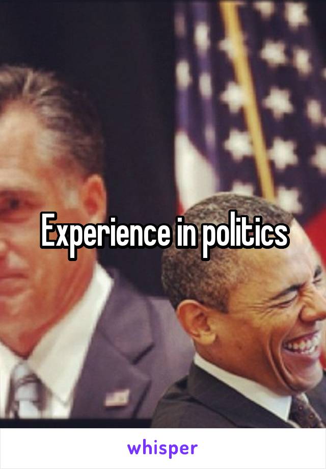 Experience in politics