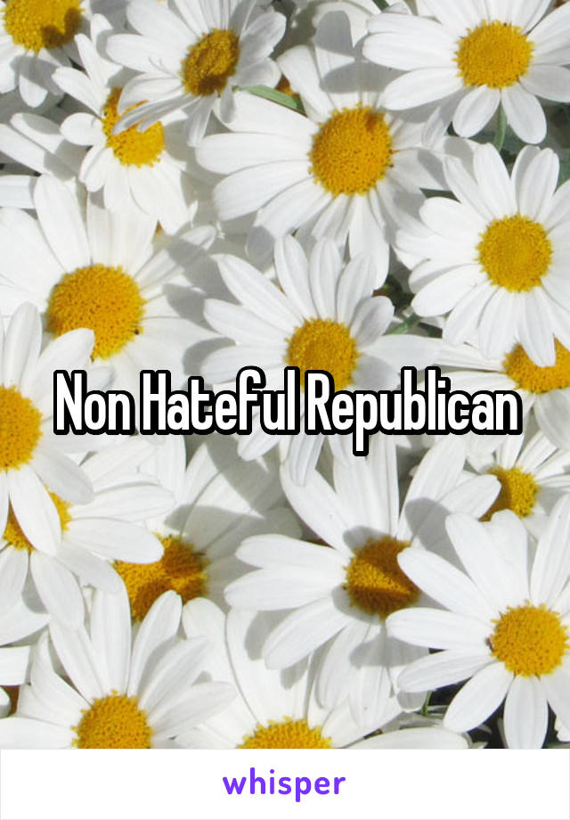 Non Hateful Republican