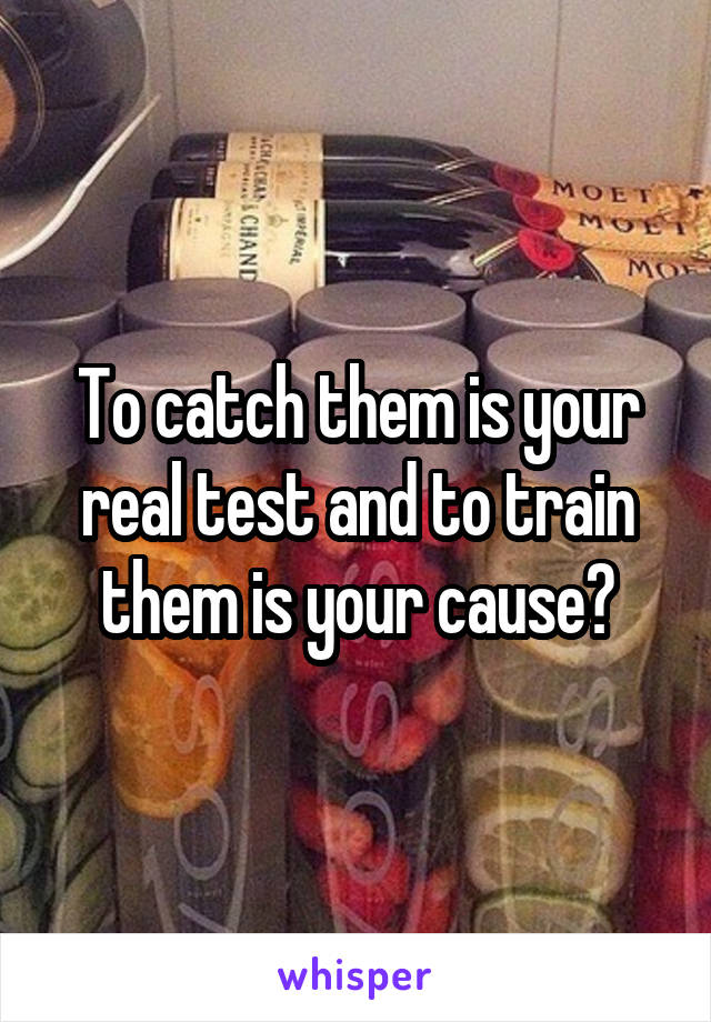 To catch them is your real test and to train them is your cause?