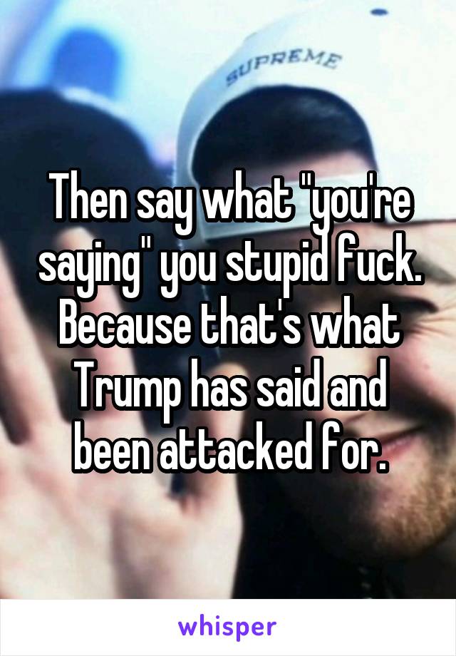 Then say what "you're saying" you stupid fuck. Because that's what Trump has said and been attacked for.