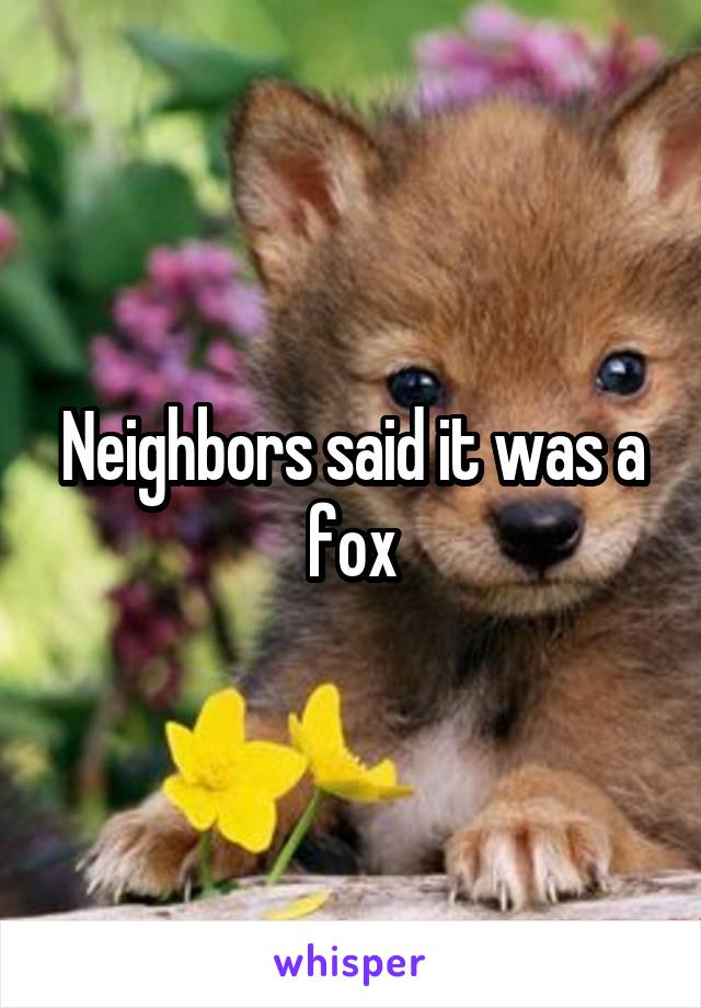 Neighbors said it was a fox