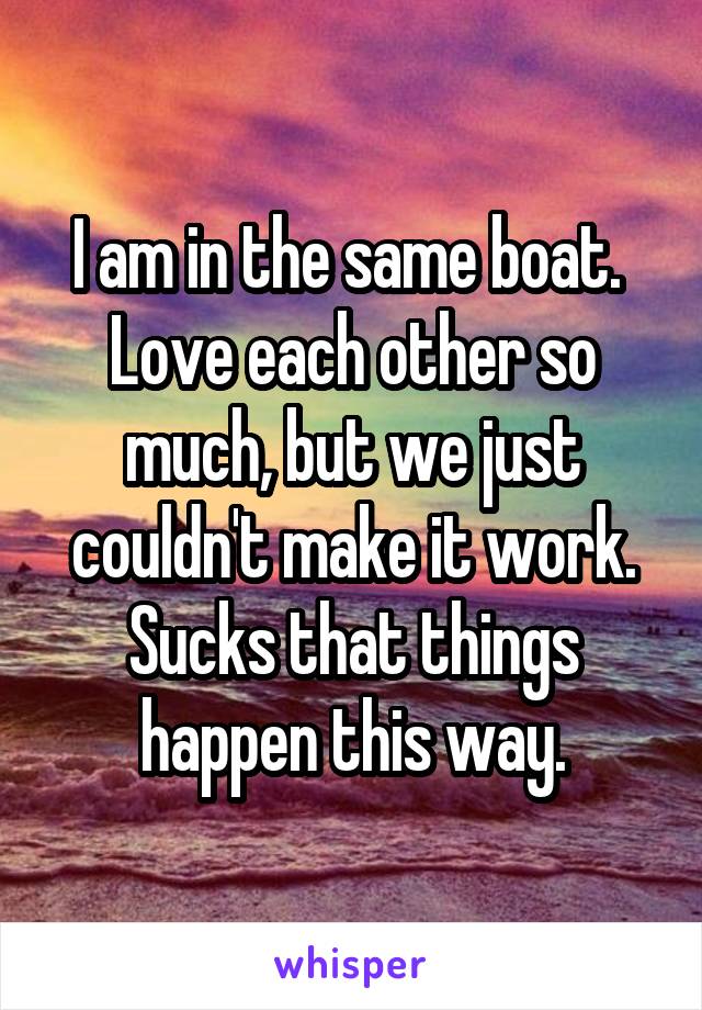 I am in the same boat.  Love each other so much, but we just couldn't make it work. Sucks that things happen this way.