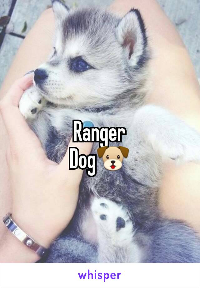 Ranger
Dog🐶
