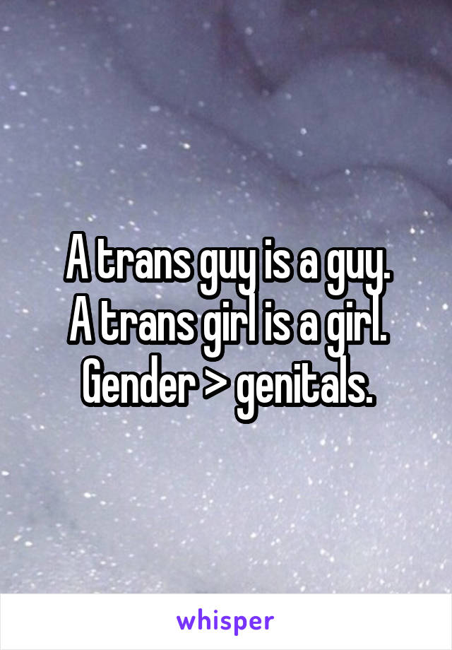 A trans guy is a guy.
A trans girl is a girl.
Gender > genitals.