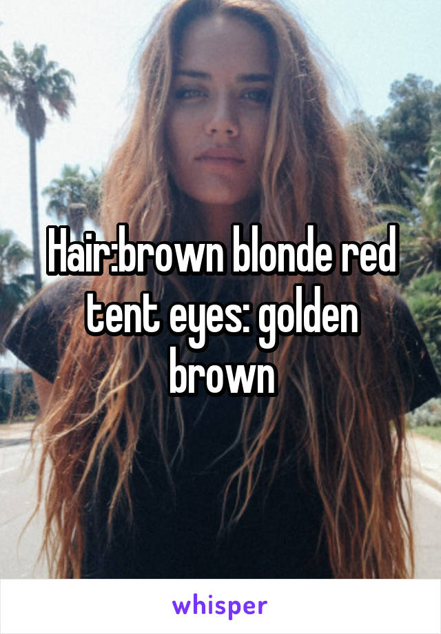 Hair:brown blonde red tent eyes: golden brown