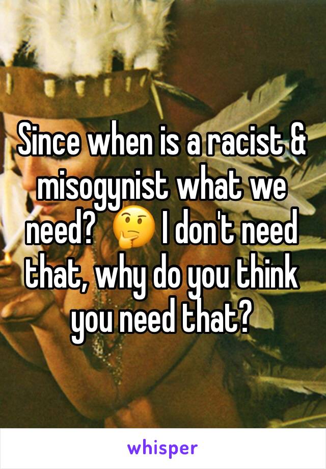 Since when is a racist & misogynist what we need?  🤔 I don't need that, why do you think you need that?