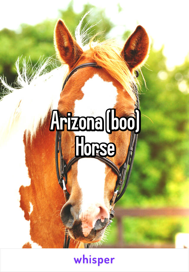 Arizona (boo)
Horse