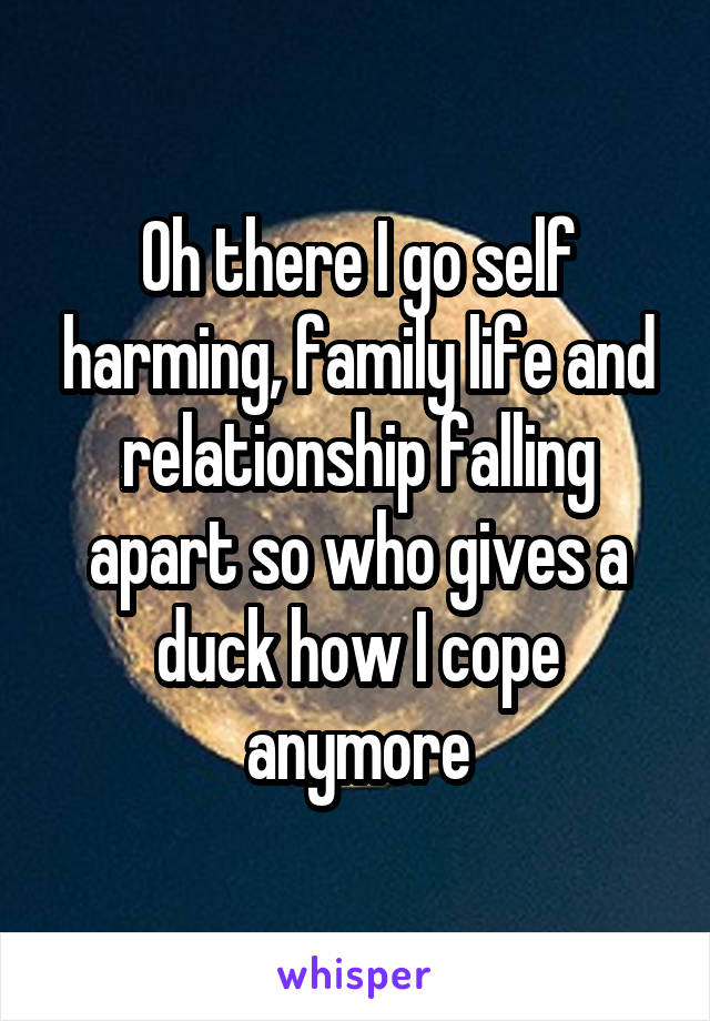 Oh there I go self harming, family life and relationship falling apart so who gives a duck how I cope anymore