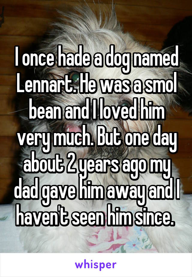 I once hade a dog named Lennart. He was a smol bean and I loved him very much. But one day about 2 years ago my dad gave him away and I haven't seen him since. 