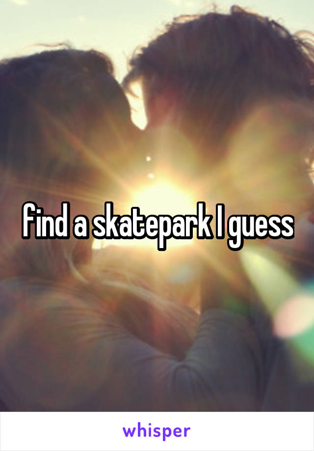 find a skatepark I guess